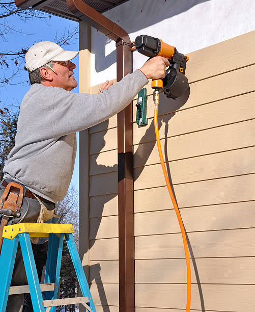 Affordable Siding Repair and Maintenance Services in Paynesville, MN