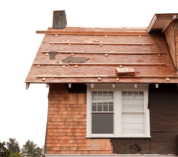 Reliable Paynesville, MN Siding Solutions