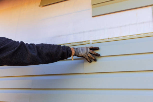 Siding Removal and Disposal in Paynesville, MN